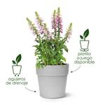 vibia straight round 47cm pistache green